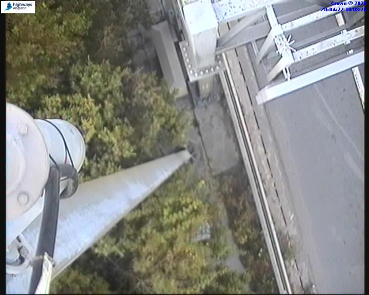 55084-1787169877.jpg