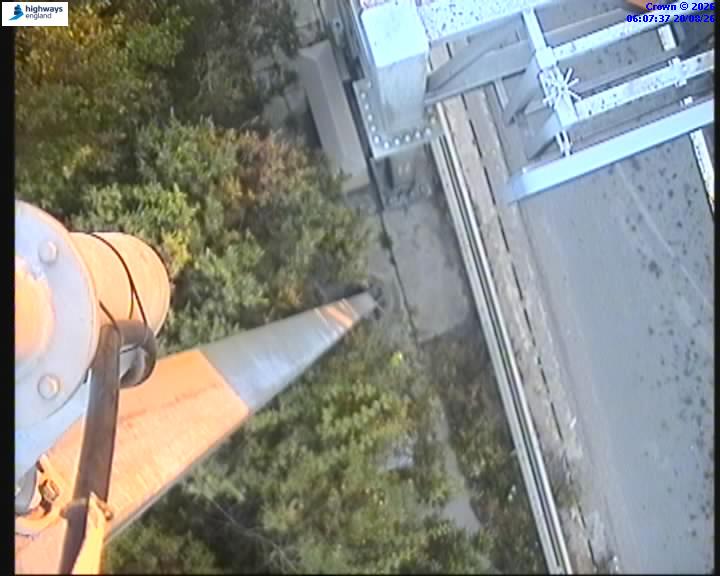 55084-1787206073.jpg