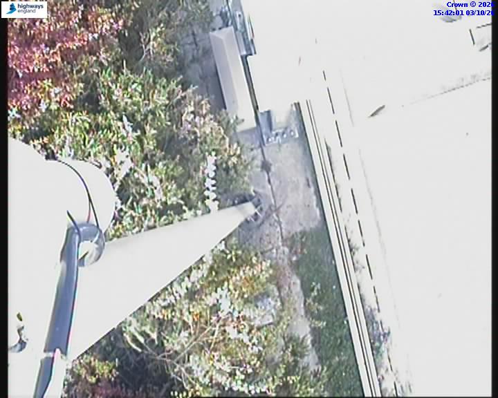 55084-1791042138.jpg