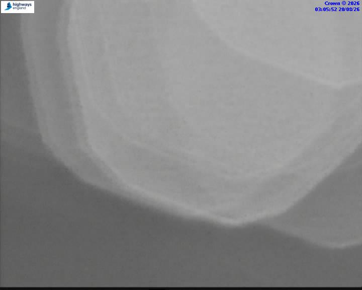 54947-1787195155.jpg
