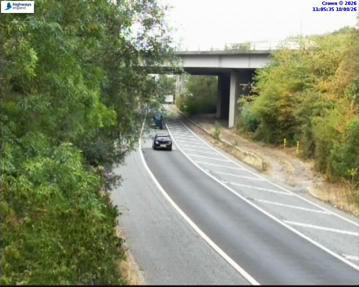54953-1787051161.jpg
