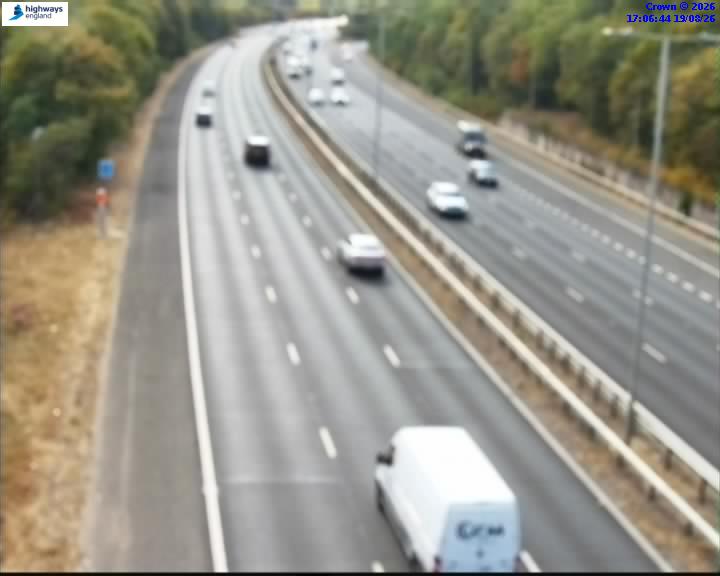 58316-1787159206.jpg