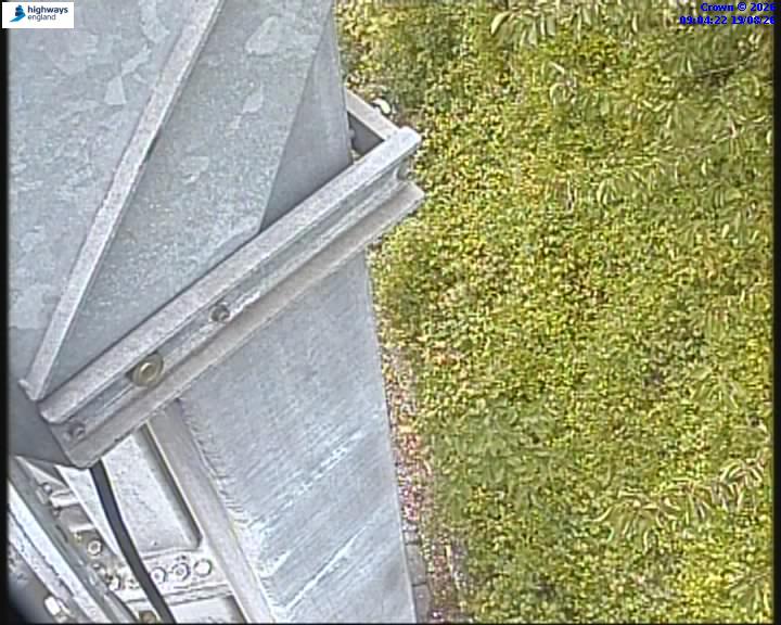 55098-1787130279.jpg