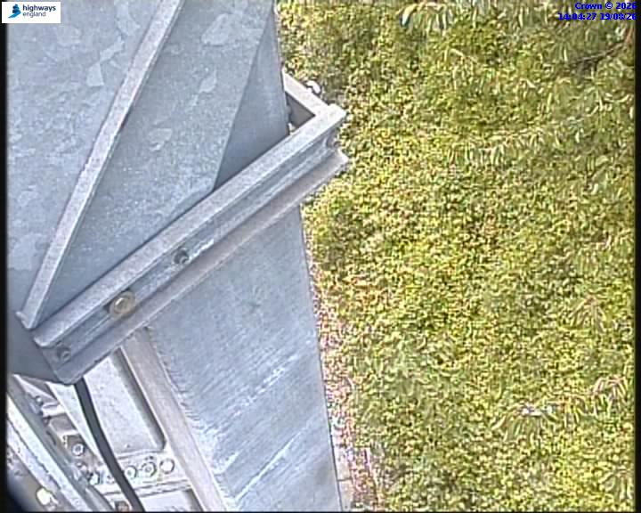 55098-1787148284.jpg