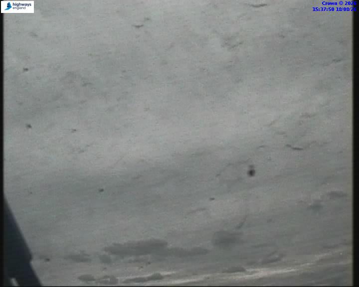 55106-1787067492.jpg