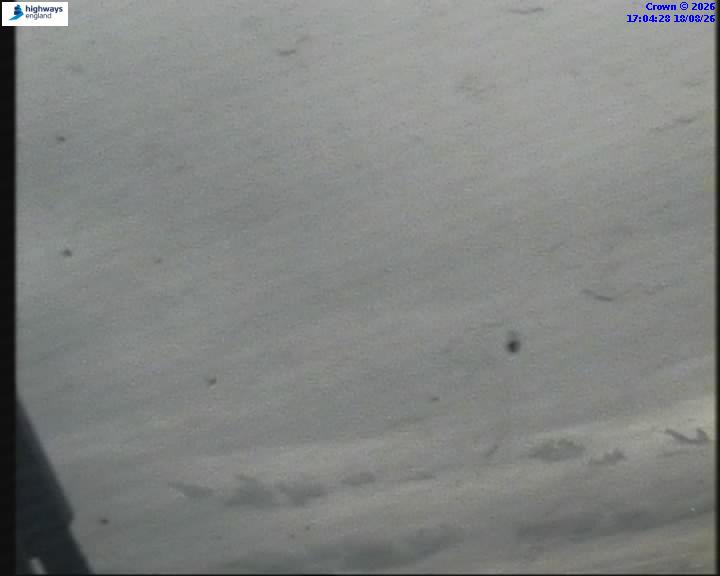55106-1787072679.jpg