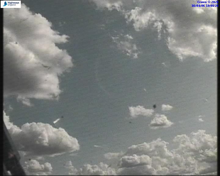 55106-1787155464.jpg