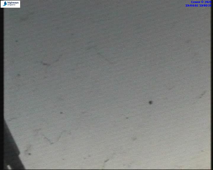 55106-1787166246.jpg