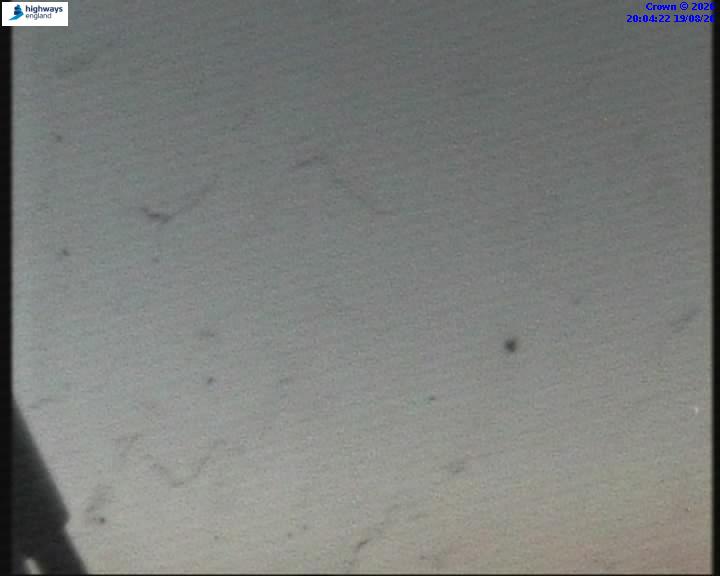 55106-1787169865.jpg