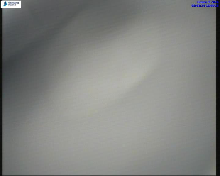 55112-1787130276.jpg
