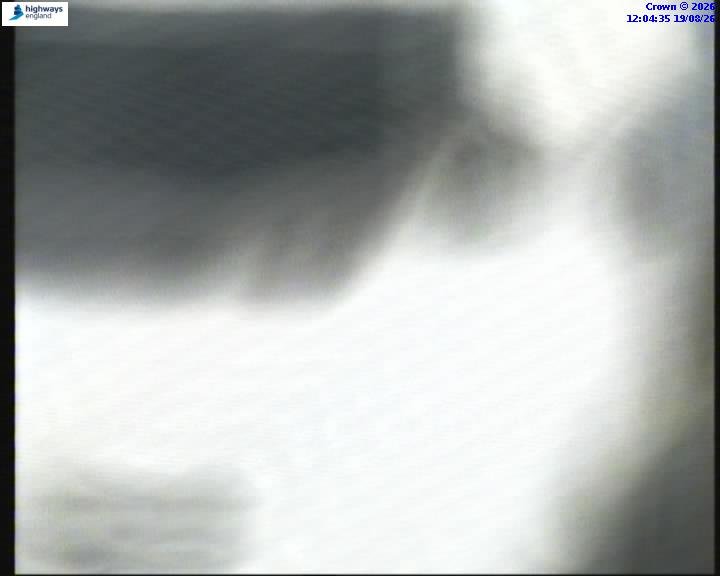 55112-1787141088.jpg