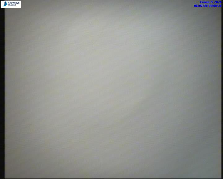 55112-1787206062.jpg