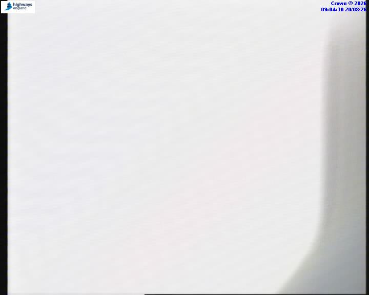 55112-1787216667.jpg