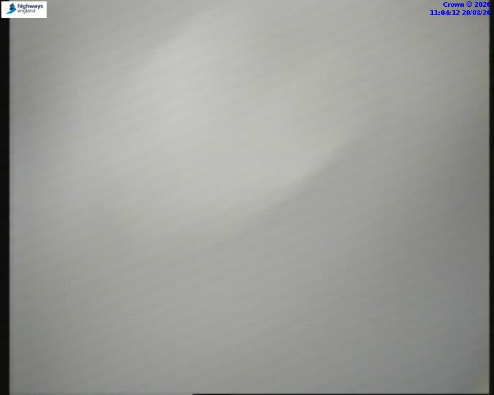 55112-1787223864.jpg