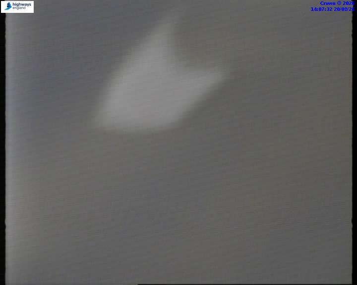 55112-1787234857.jpg