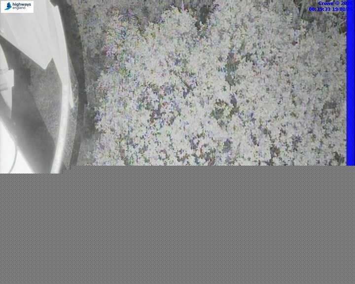 52214-1787098798.jpg