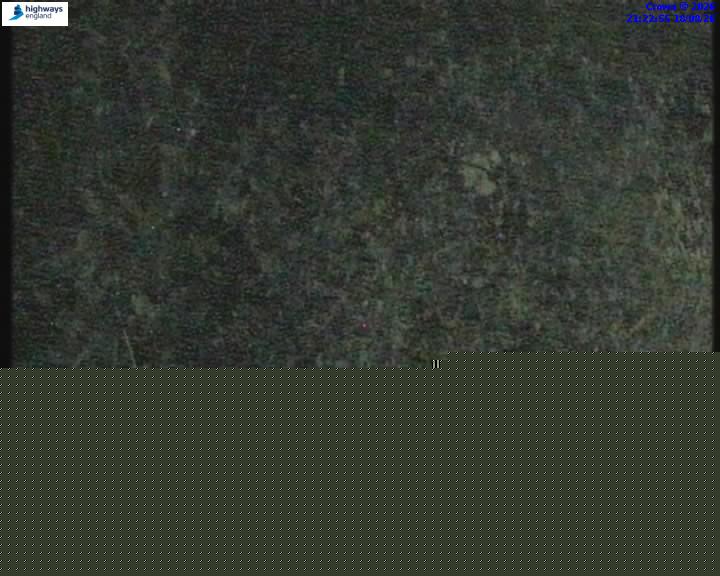 55147-1787088216.jpg