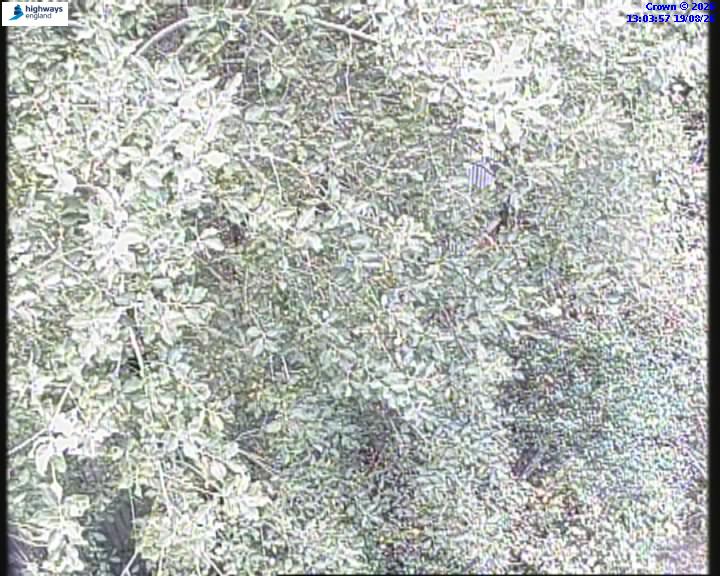 55147-1787144647.jpg