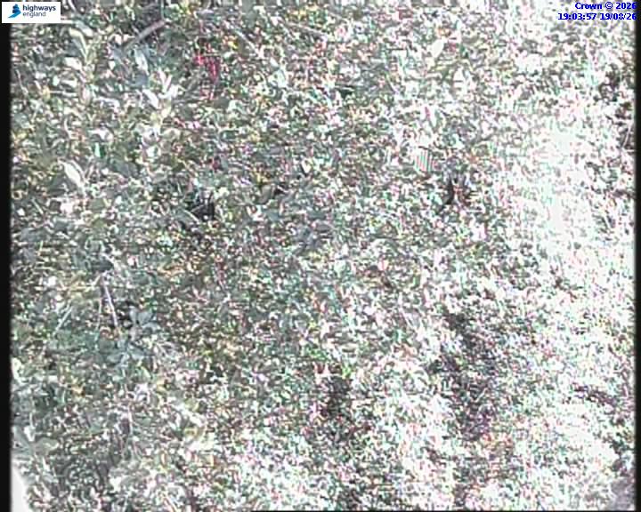 55147-1787166248.jpg