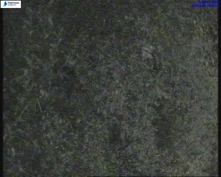 55147-1787173458.jpg