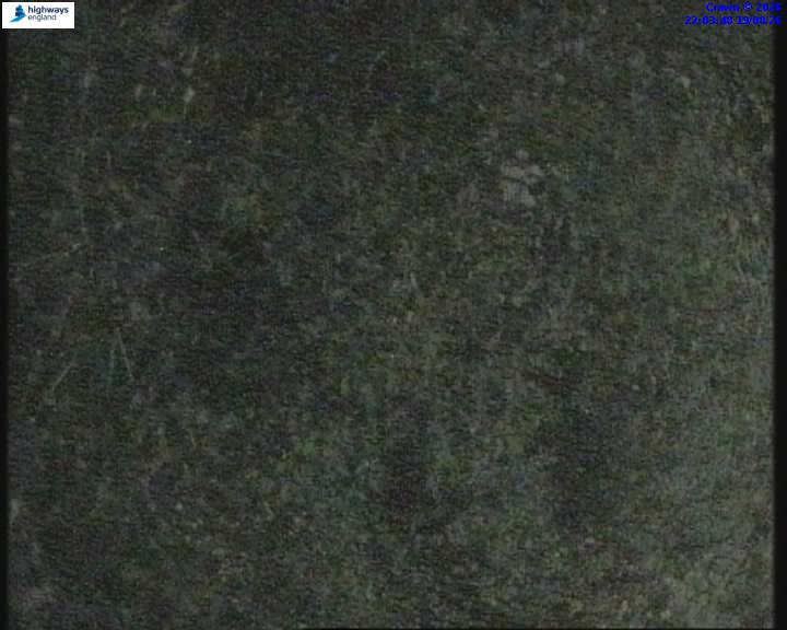 55147-1787177046.jpg