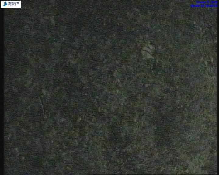 55147-1787184343.jpg