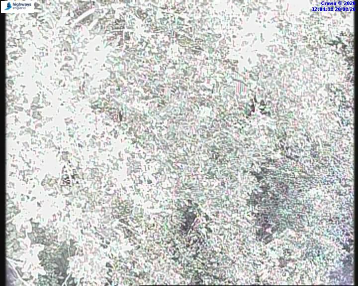 55147-1787227470.jpg