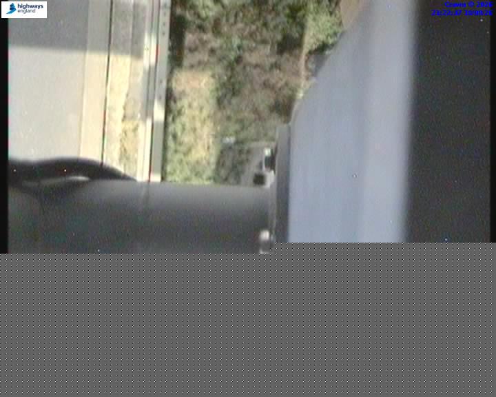 55161-1787088198.jpg