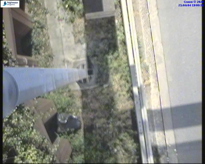 55161-1787173456.jpg