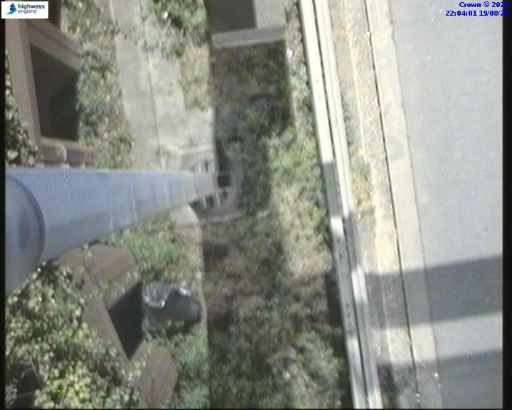 55161-1787177044.jpg