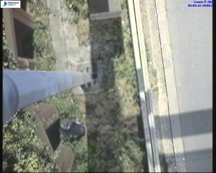 55161-1787202364.jpg