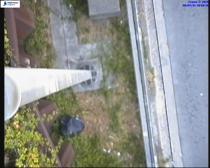 55161-1787206063.jpg