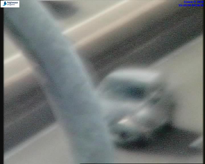 55164-1791114249.jpg