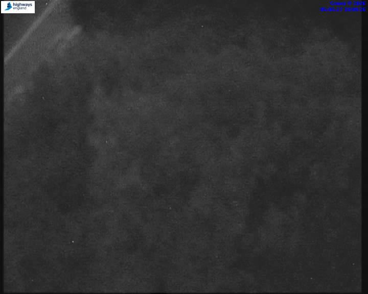 55173-1787029542.jpg
