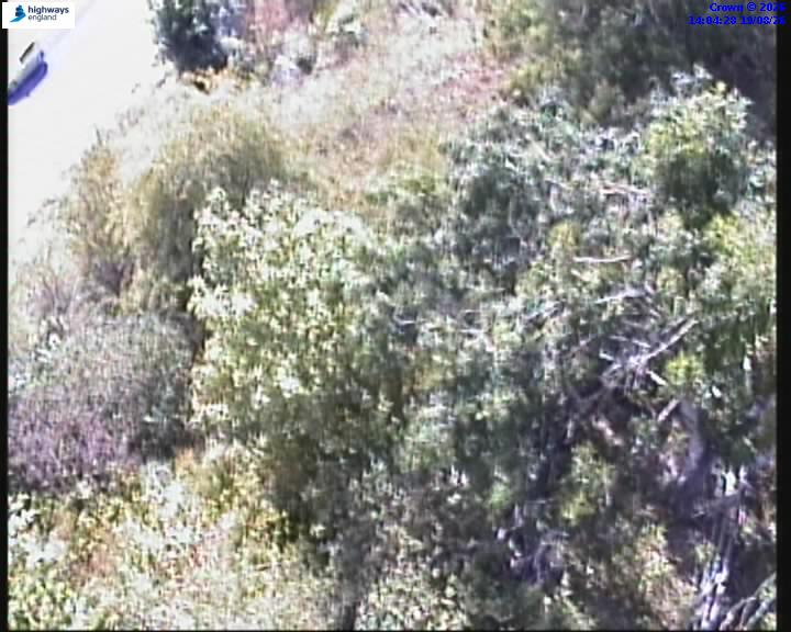 55173-1787148279.jpg