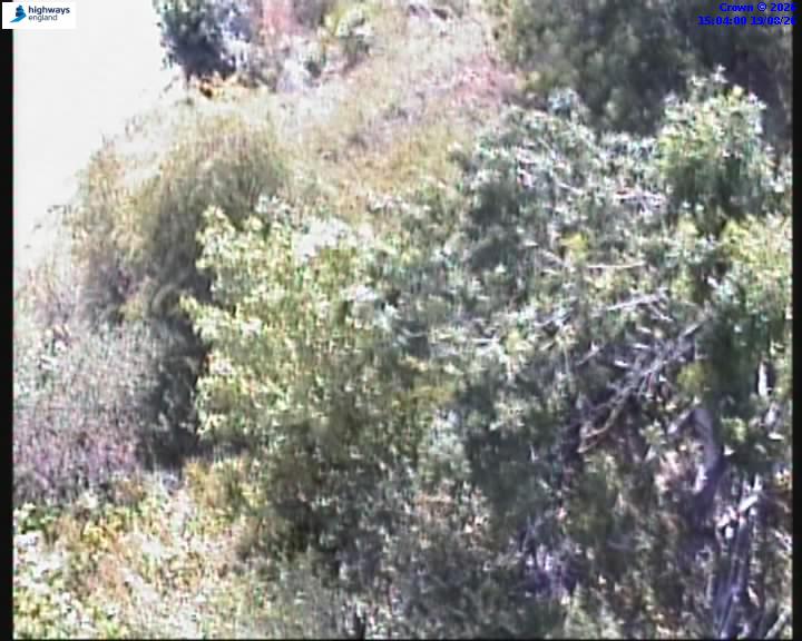 55173-1787151844.jpg
