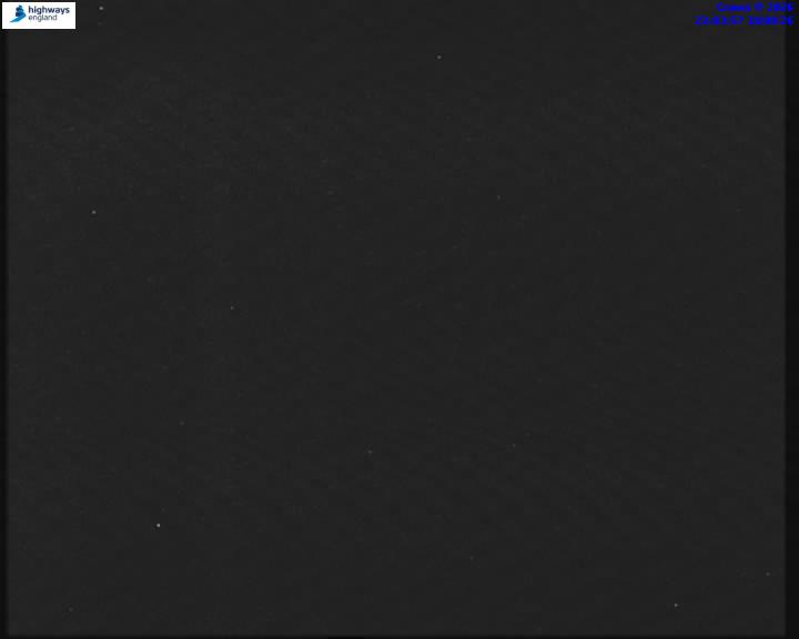 55173-1787177042.jpg