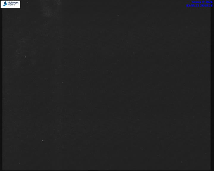 55173-1787195142.jpg