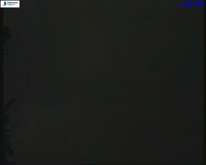 55206-1787040353.jpg