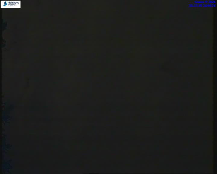 55206-1787067482.jpg