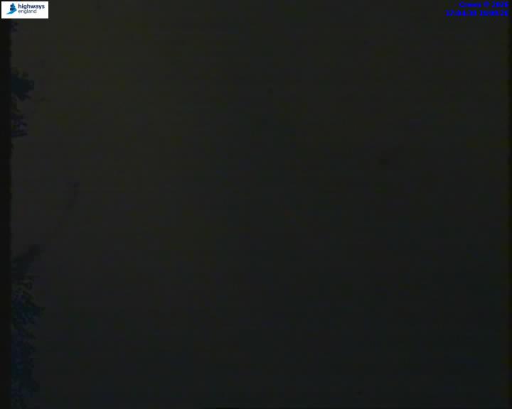 55206-1787072675.jpg