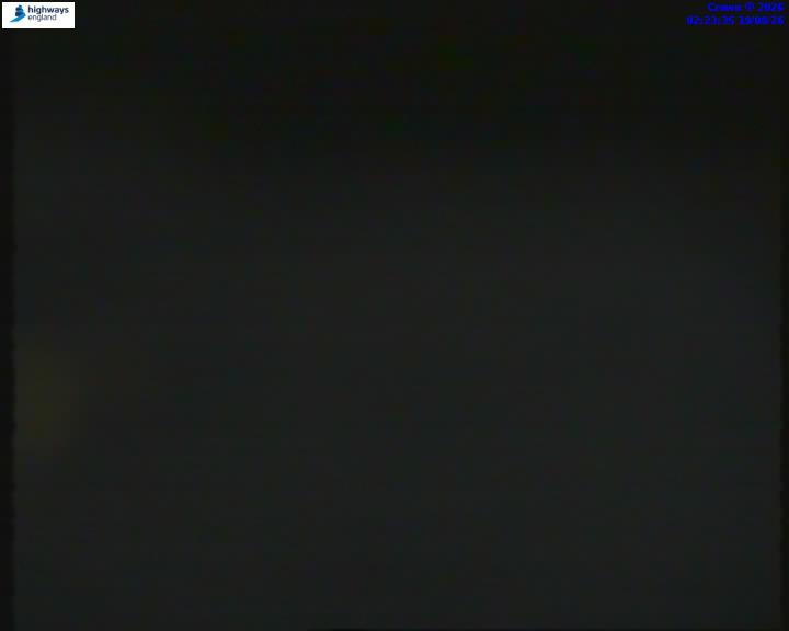 55206-1787106245.jpg