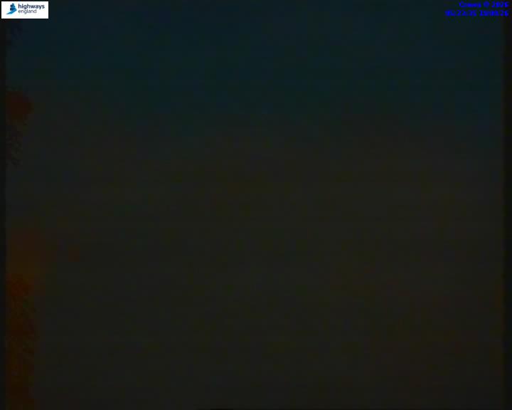 55206-1787117038.jpg
