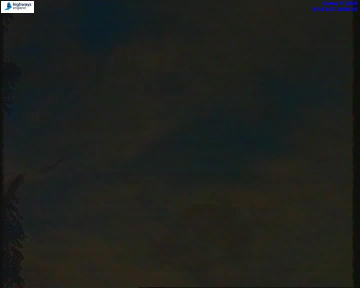 55206-1787123041.jpg