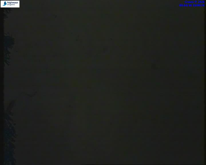 55206-1787126675.jpg