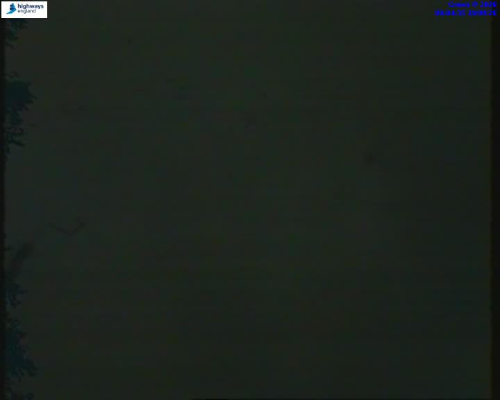 55206-1787130273.jpg