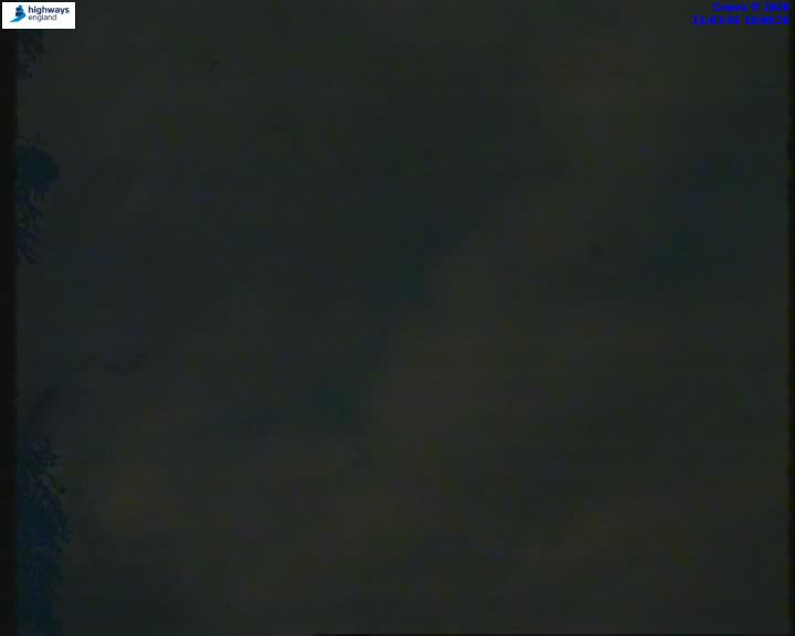 55206-1787137450.jpg