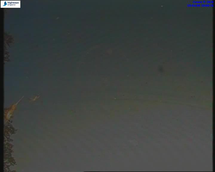 55206-1787166241.jpg