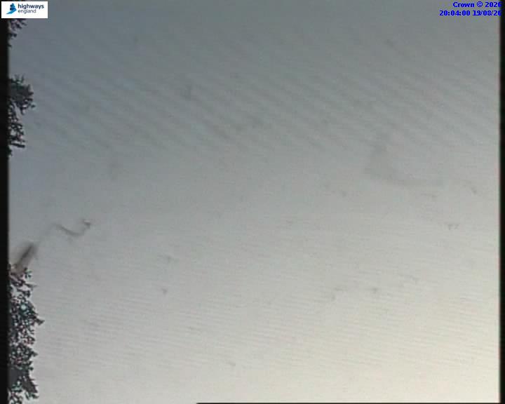 55206-1787169860.jpg
