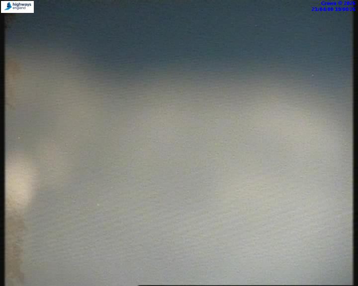 55206-1787173454.jpg